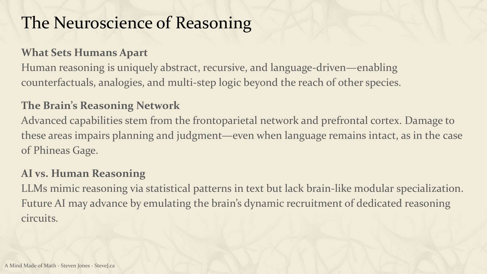 Slide 36: The Neuroscience of Reasoning