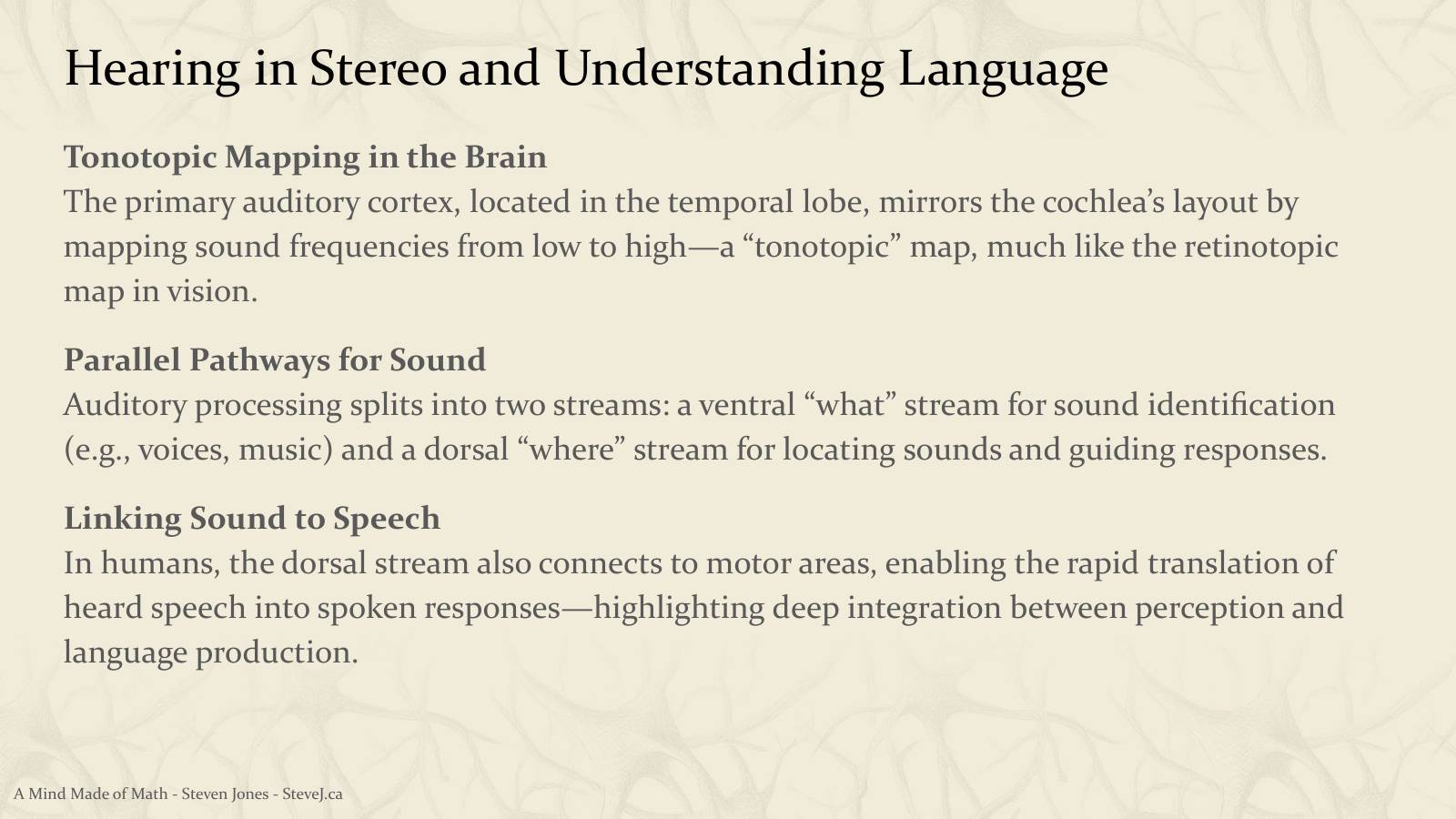 Slide 66: Hearing in Stereo and Understanding Language