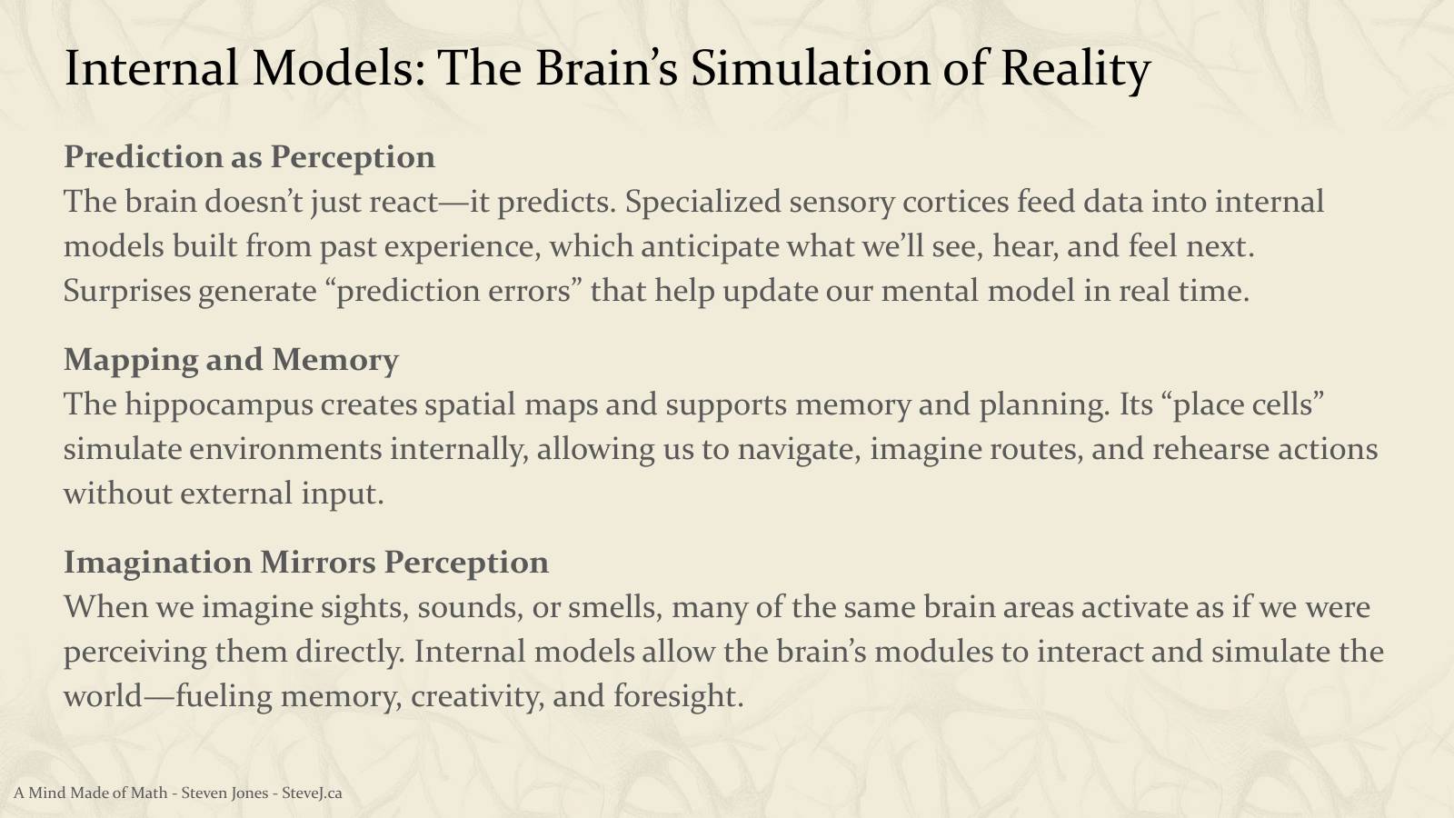 Slide 67: Internal Models: The Brain’s Simulation of Reality