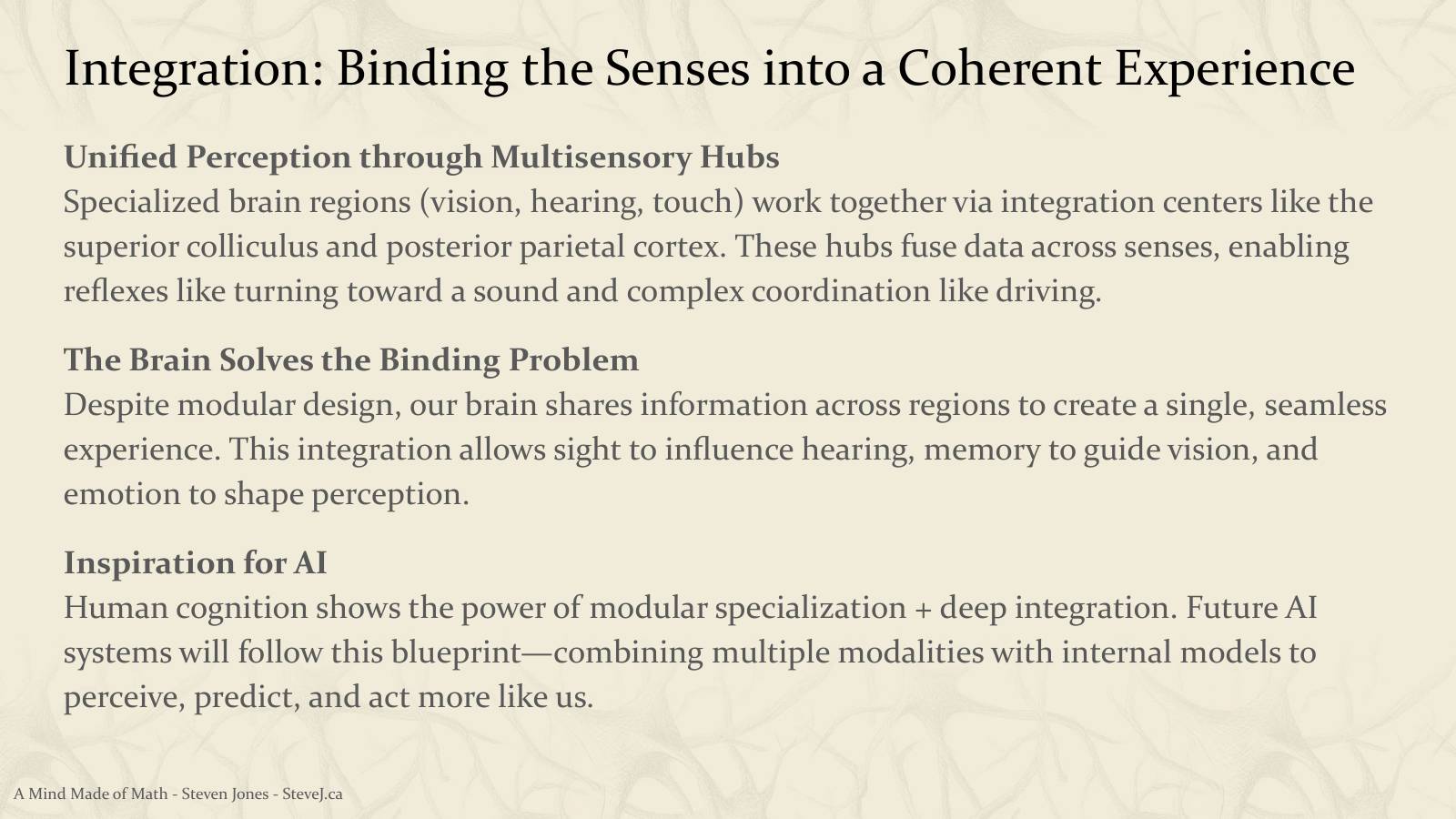 Slide 68: Integration: Binding the Senses into a Coherent Experience