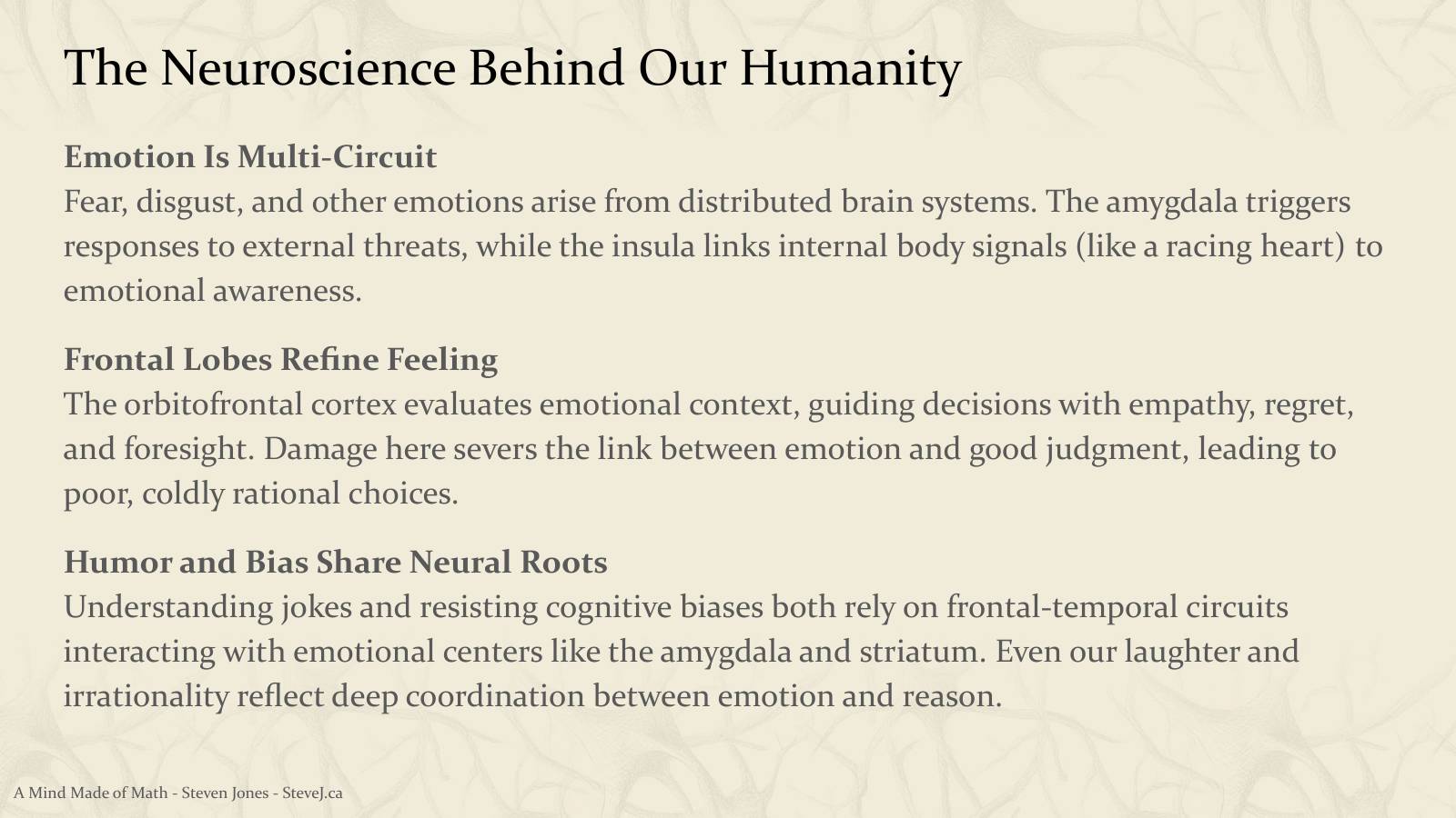Slide 99: The Neuroscience Behind Our Humanity