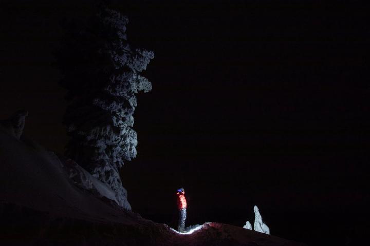 Headlamp-lit figure beside a frosted tree at night