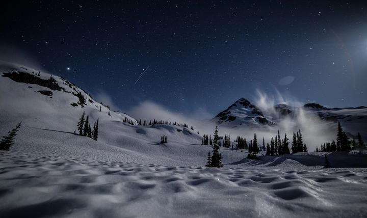 Moonlit snowy meadow beneath a starry sky