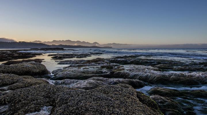 Tidal rock shelf at dusk