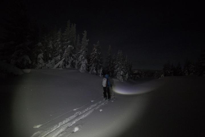 Skier with a headlamp breaking trail through a snowy forest at night