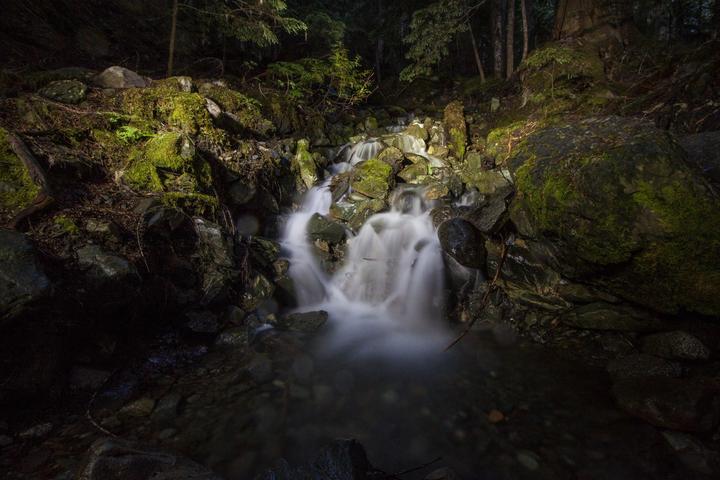 Long-exposure waterfall in a mossy forest