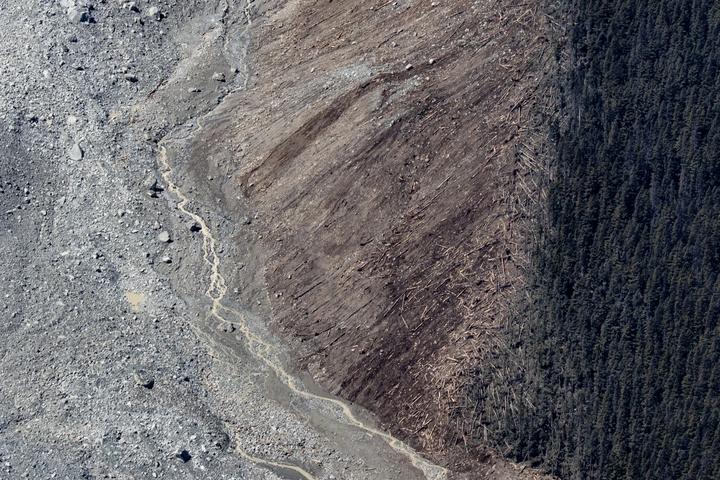 Aerial view of a braided river beside a forest